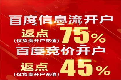 百度SEM广告投放的五大成功案例分享